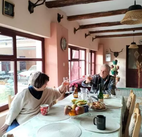 ペンション Casa Dragoi Din Socolari, Caras   Severin