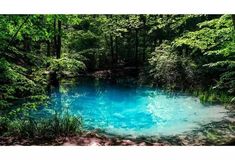 ペンション Casa Dragoi Din Socolari, Caras   Severin