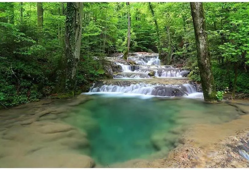 ペンション Casa Dragoi Din Socolari, Caras   Severin