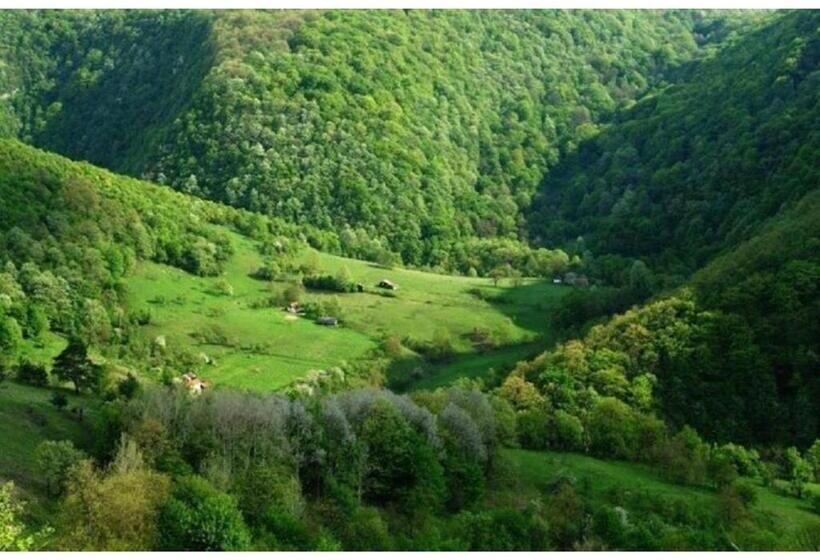 ペンション Casa Dragoi Din Socolari, Caras   Severin