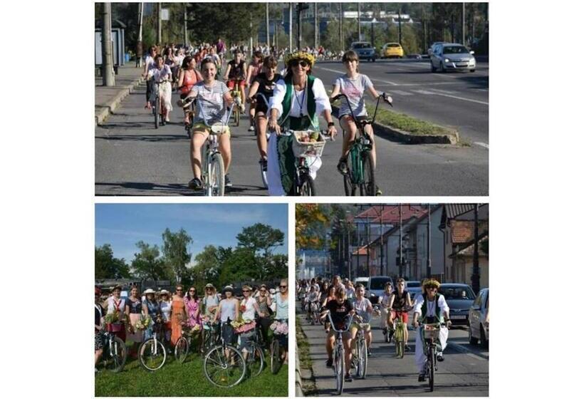 ペンション Casa Dragoi Din Socolari, Caras   Severin