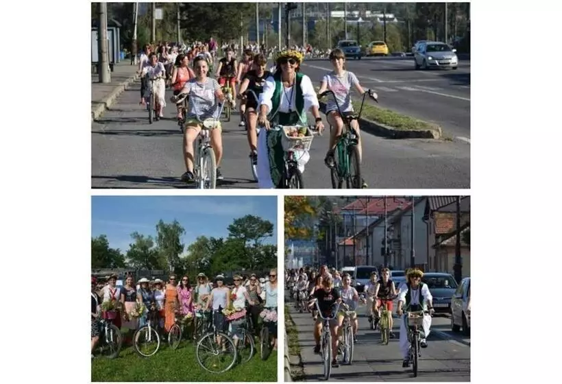 ペンション Casa Dragoi Din Socolari, Caras   Severin