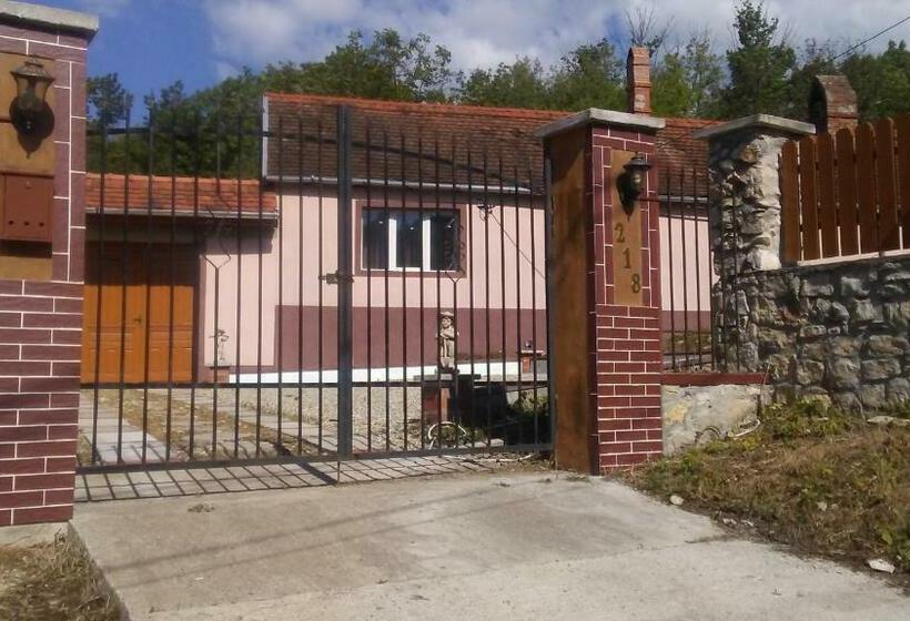 ペンション Casa Dragoi Din Socolari, Caras   Severin