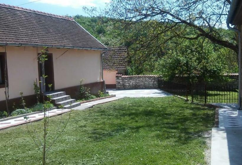 ペンション Casa Dragoi Din Socolari, Caras   Severin