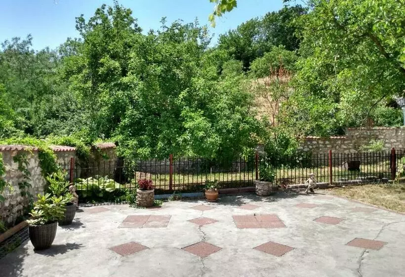 ペンション Casa Dragoi Din Socolari, Caras   Severin