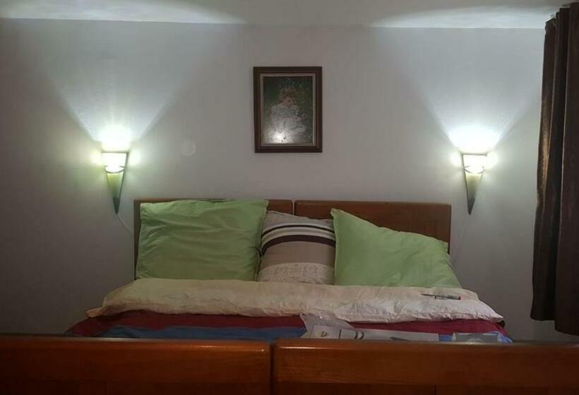 ペンション Casa Dragoi Din Socolari, Caras   Severin