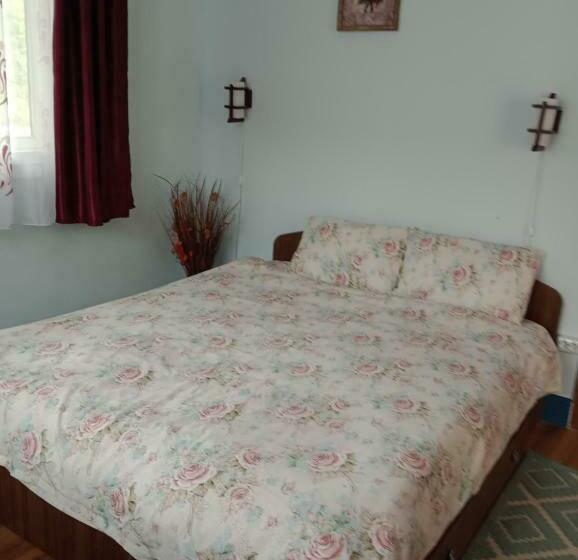 ペンション Casa Dragoi Din Socolari, Caras   Severin