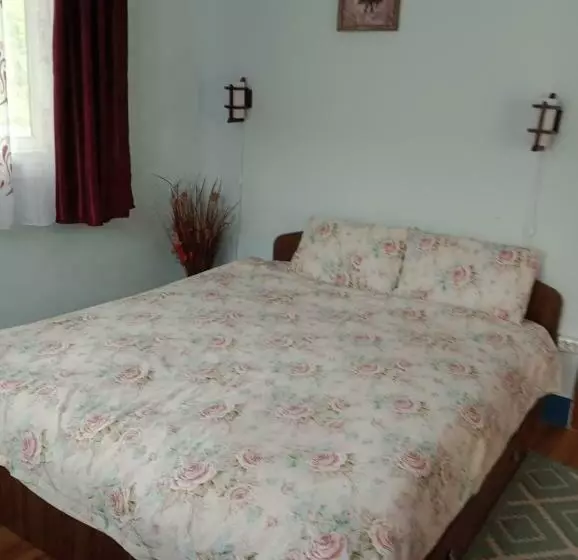 ペンション Casa Dragoi Din Socolari, Caras   Severin