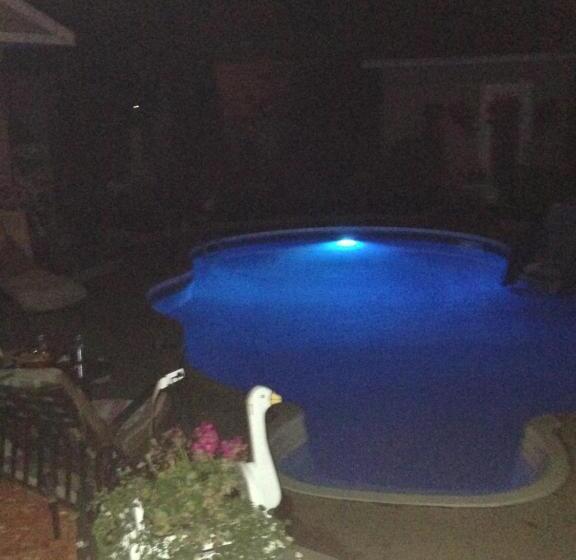 پانسیون Chez Dany