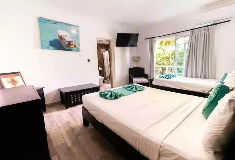 ペンション Hostal Las Rosas De Punta Cana