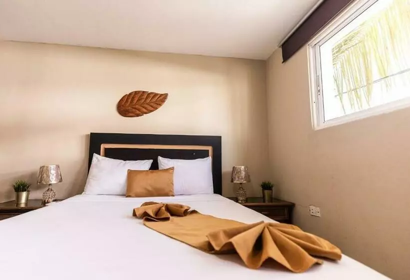 ペンション Hostal Las Rosas De Punta Cana