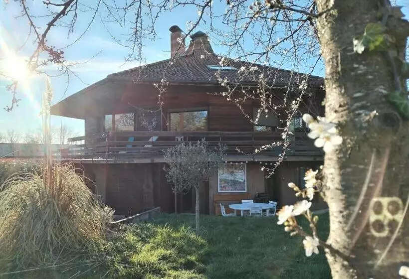 Le Nid Du Chat Noir   Maison Alvéole Bed And Books