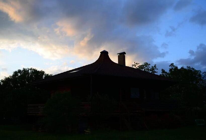 Le Nid Du Chat Noir Maison Alvéole Bed And Books
