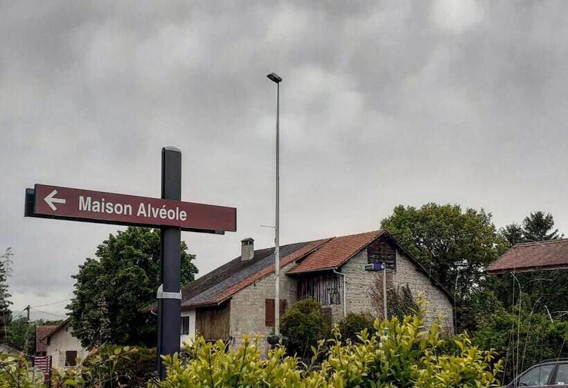 Le Nid Du Chat Noir Maison Alvéole Bed And Books