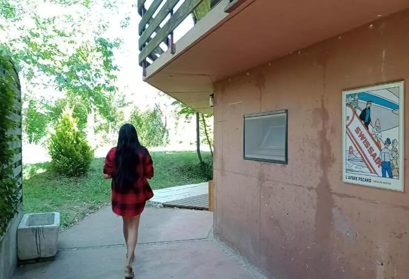 Le Nid Du Chat Noir   Maison Alvéole Bed And Books