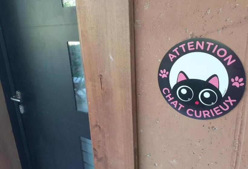 Le Nid Du Chat Noir Maison Alvéole Bed And Books