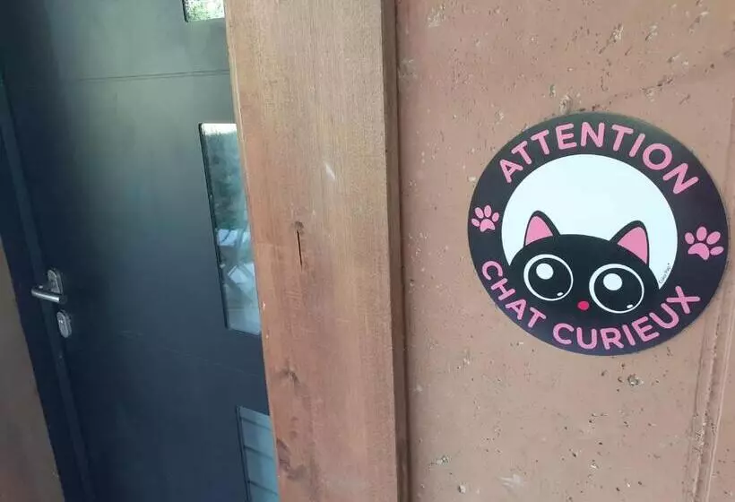 Le Nid Du Chat Noir   Maison Alvéole Bed And Books