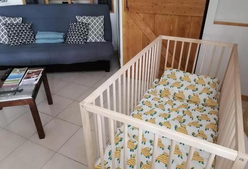 Le Nid Du Chat Noir Maison Alvéole Bed And Books