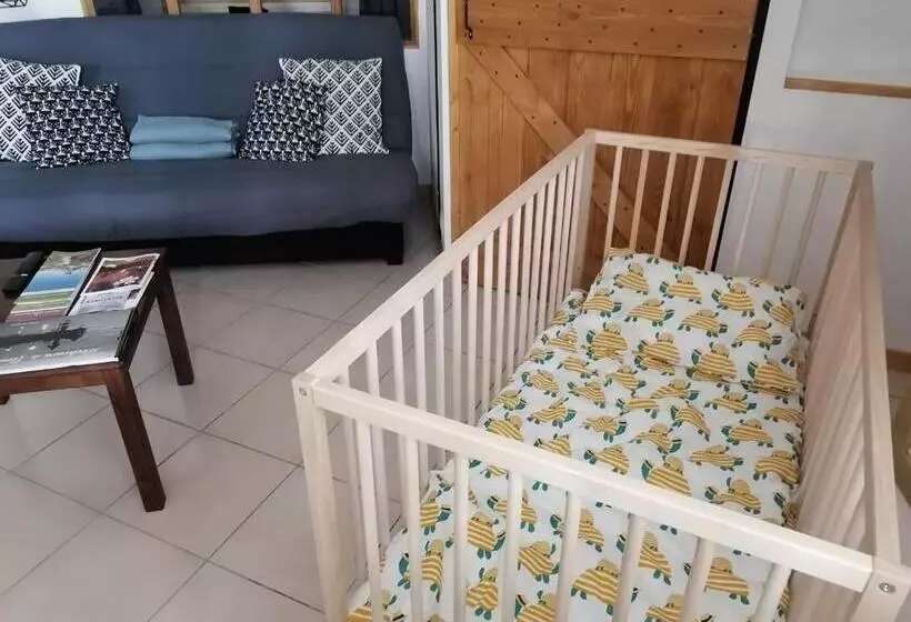 Le Nid Du Chat Noir   Maison Alvéole Bed And Books