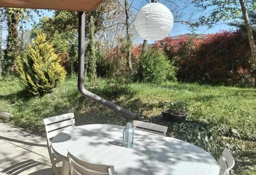 Le Nid Du Chat Noir   Maison Alvéole Bed And Books