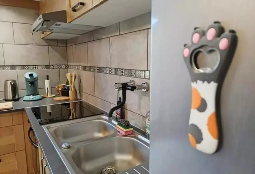 Le Nid Du Chat Noir   Maison Alvéole Bed And Books