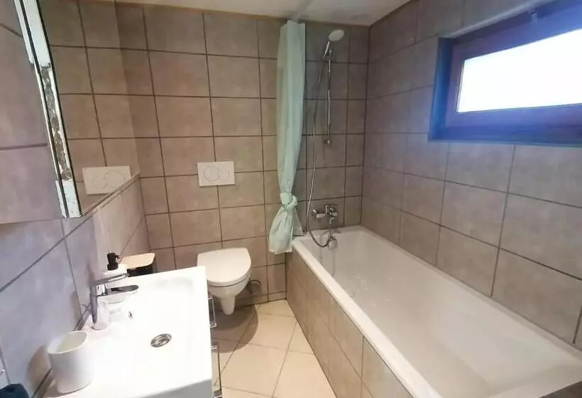 Le Nid Du Chat Noir   Maison Alvéole Bed And Books