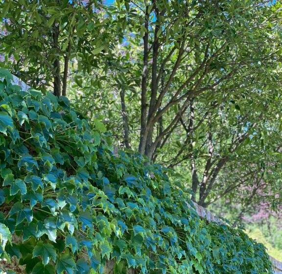 ベッドアンドブレックファースト La Giorgetta