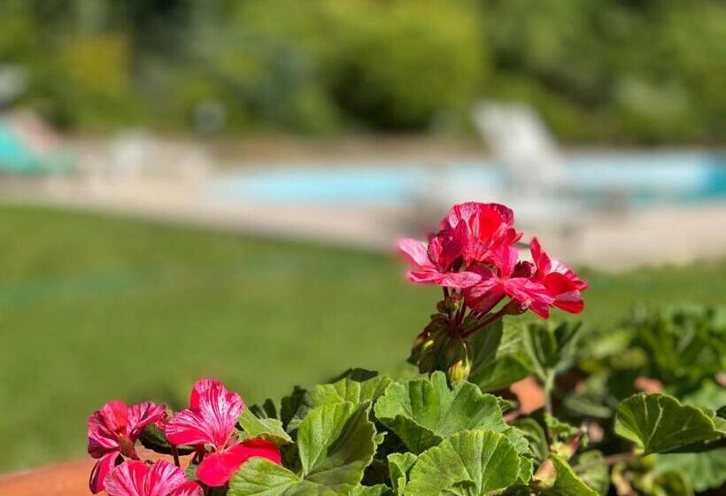 ベッドアンドブレックファースト La Giorgetta