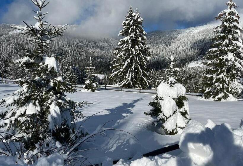 Hillhome Apartment & Sauna