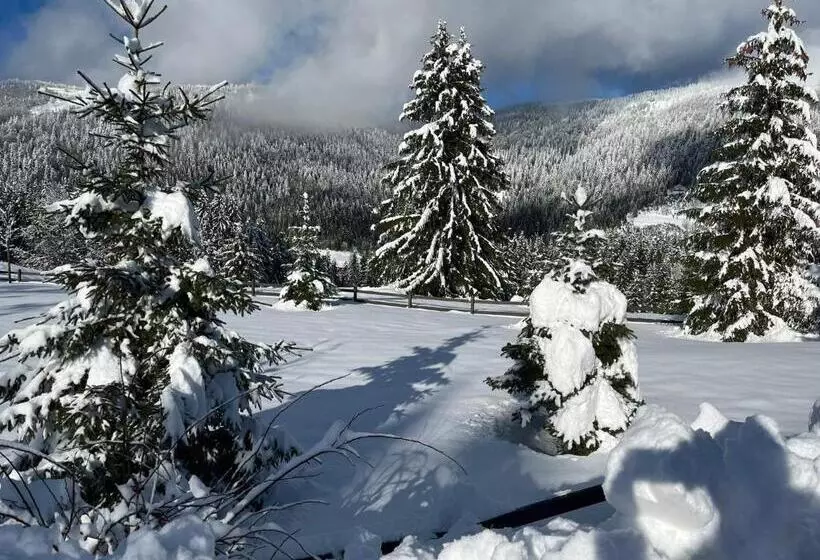 Hillhome Apartment & Sauna