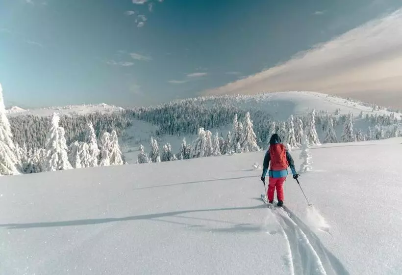 Hillhome Apartment & Sauna