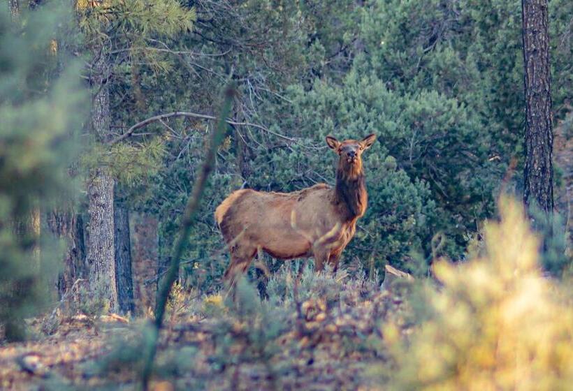 Quaint Condo Retreat 12 Ridgeview Condo