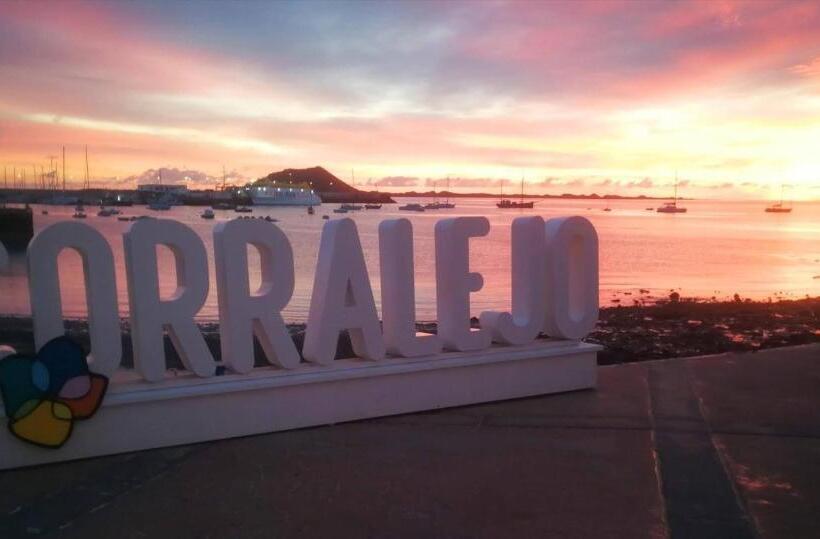 Semicorchea Corralejo Irent Fuerteventura