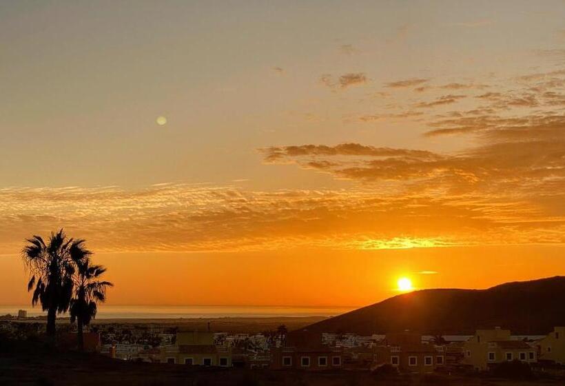 Semicorchea Corralejo Irent Fuerteventura