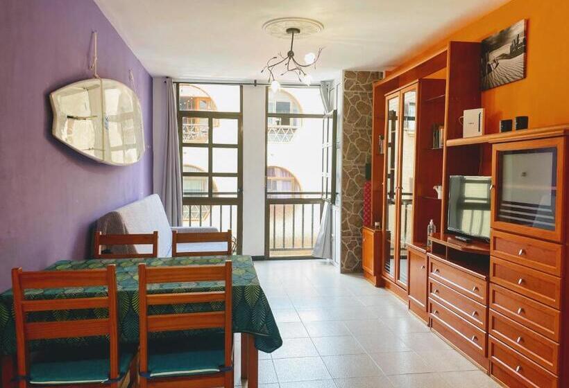 Semicorchea Corralejo Irent Fuerteventura