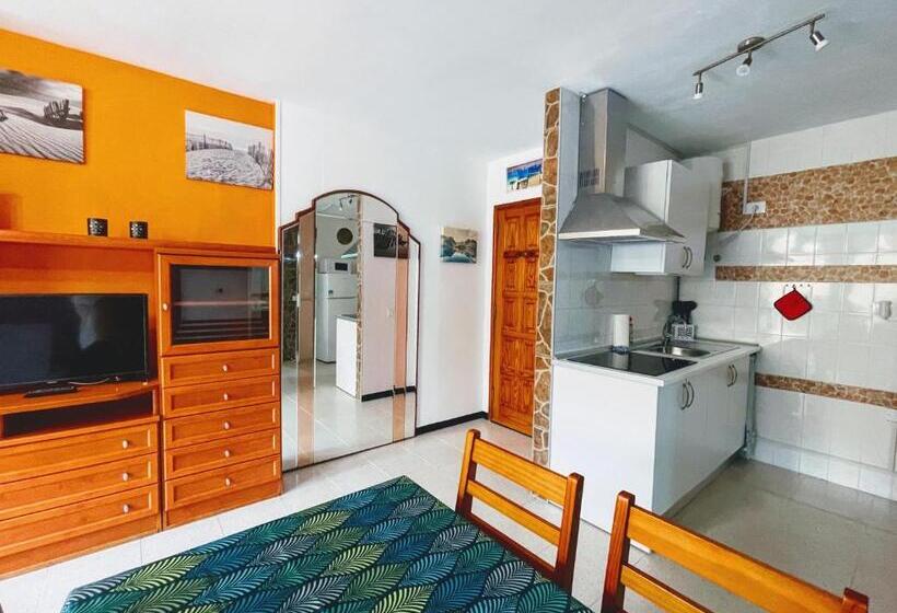 Semicorchea Corralejo Irent Fuerteventura