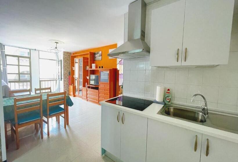 Semicorchea Corralejo Irent Fuerteventura