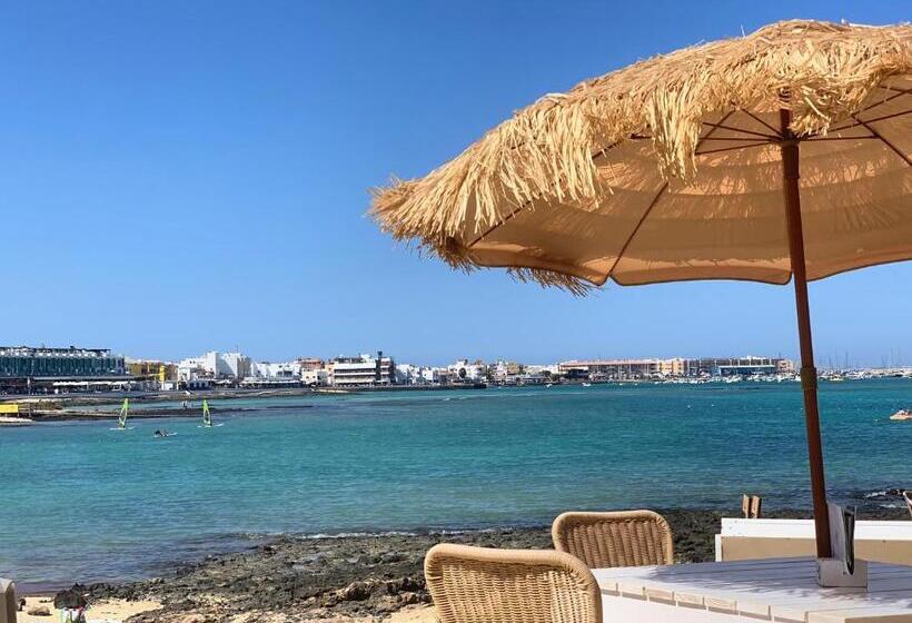 Semicorchea Corralejo Irent Fuerteventura