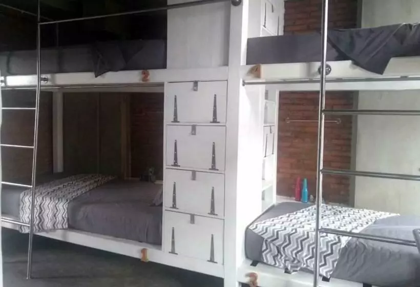 Shelter Hostel Malang