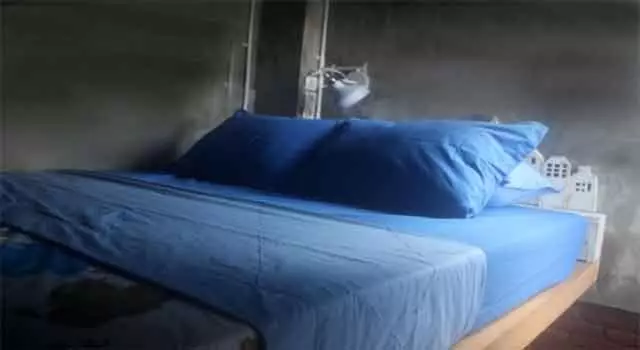 Shelter Hostel Malang