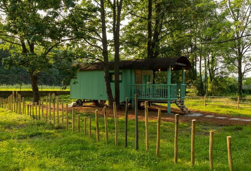 مبيت وإفطار Antiche Macine