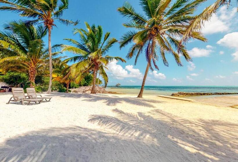 호텔 Red Ginger @ Caribe Island