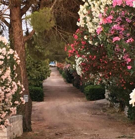 פנסיון Affittacamere Mauto