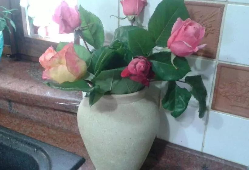 Aamiaismajoitus (B&B) Il Cortile Della Nonna