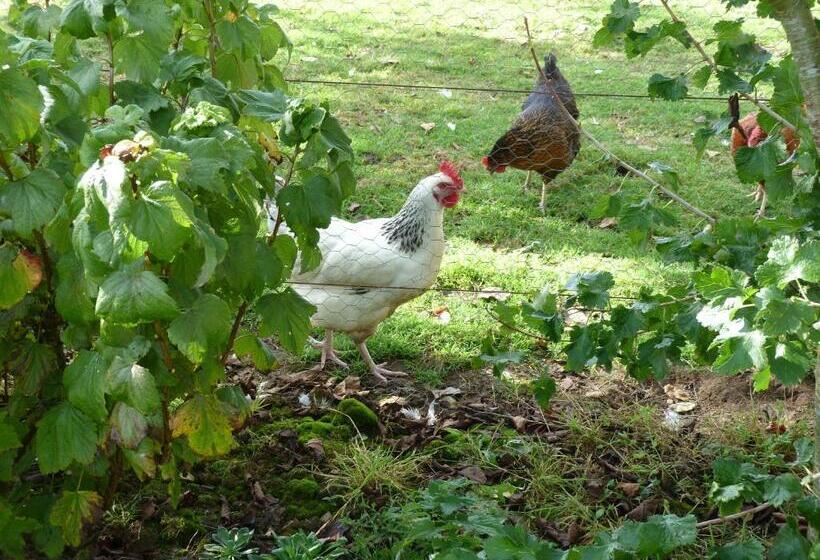 Bed and Breakfast La Crepelliere