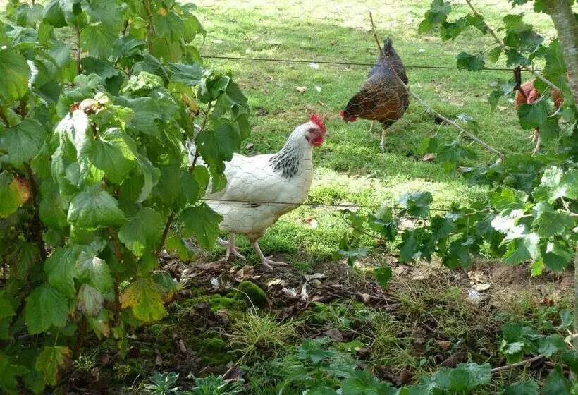 Aamiaismajoitus (B&B) La Crepelliere