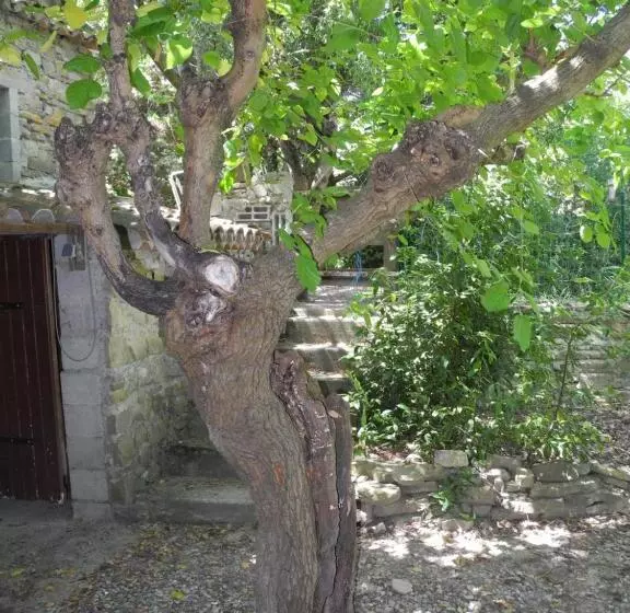 Hotelli Le Vieux Mas Du Domaine De Pontet Fronzele