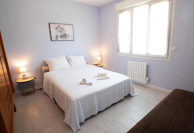 Maison De Ville Avec 3 Chambres Et Grand Terrain