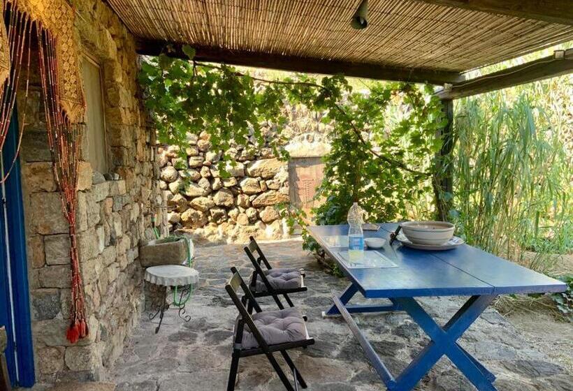 פנסיון Dammuso Levante