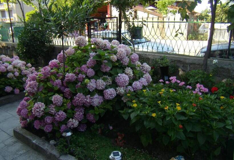 بنسيون Guest Rooms Kotvаta